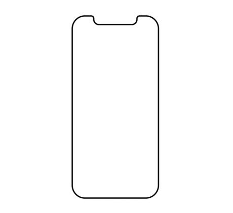 Hydrogel - ochranná fólia - iPhone 12 Pro - typ výrezu 2