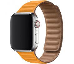 Koženkový remienok Leather Link pre Apple Watch (42/44/45mm) California