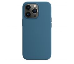 iPhone 13 Pro Silicone Case s MagSafe - Blue Jay design (modrý)