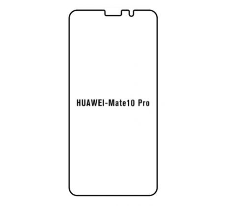 UV Hydrogel s UV lampou - ochranná fólia - Huawei Mate 10 Pro  