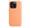 iPhone 15 Pro Max Silicone Case s MagSafe - Orange Sorbet design (oranžový)