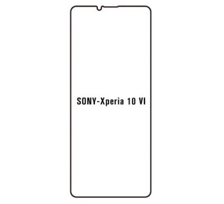 UV Hydrogel s UV lampou - ochranná fólia - Sony Xperia 10 VI